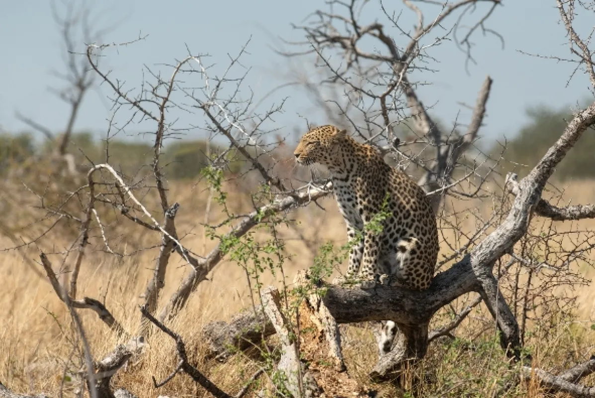 Africká abeceda, 2019 - fotogaléria