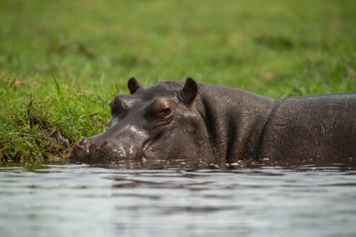 Africká abeceda, 2019 - fotogaléria