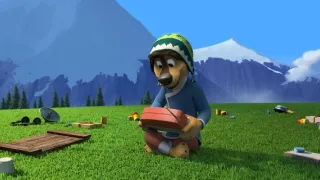 Pes ro(c)ku