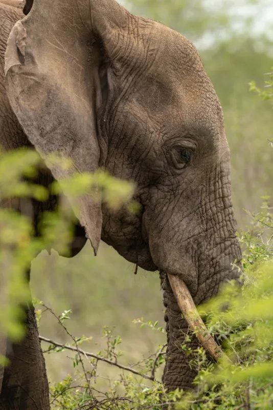 Africká abeceda, 2019 - fotogaléria