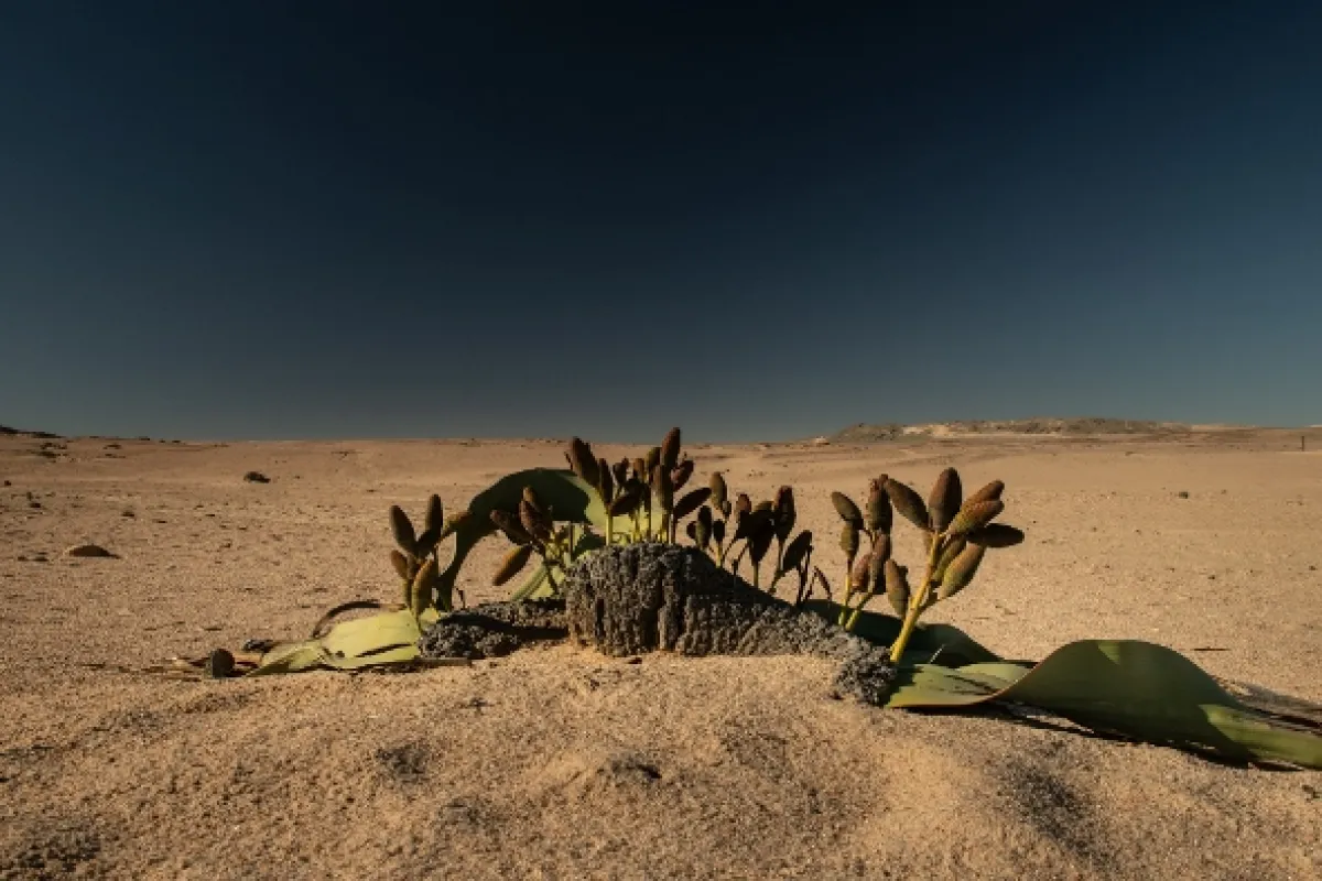 Africká abeceda, 2019 - fotogaléria