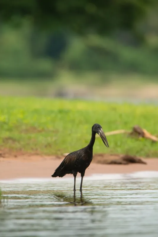 Africká abeceda, 2019 - fotogaléria