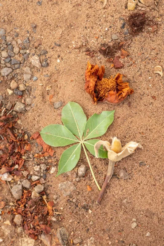 Africká abeceda, 2019 - fotogaléria