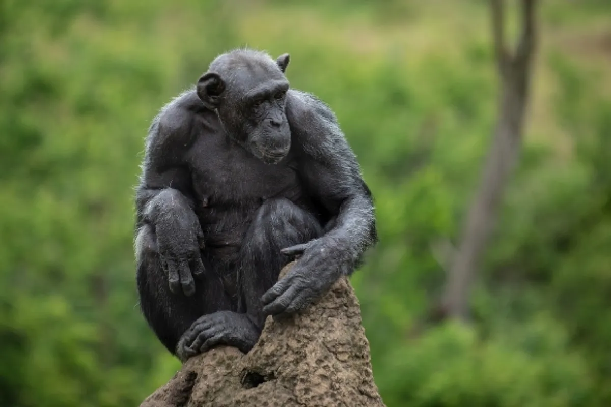 Africká abeceda, 2019 - fotogaléria