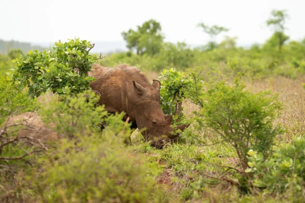 Africká abeceda, 2019 - fotogaléria