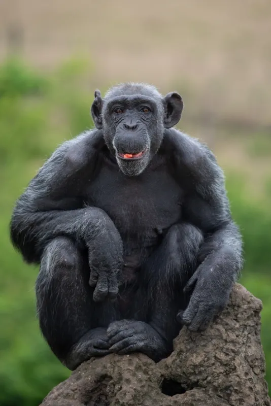 Africká abeceda, 2019 - fotogaléria