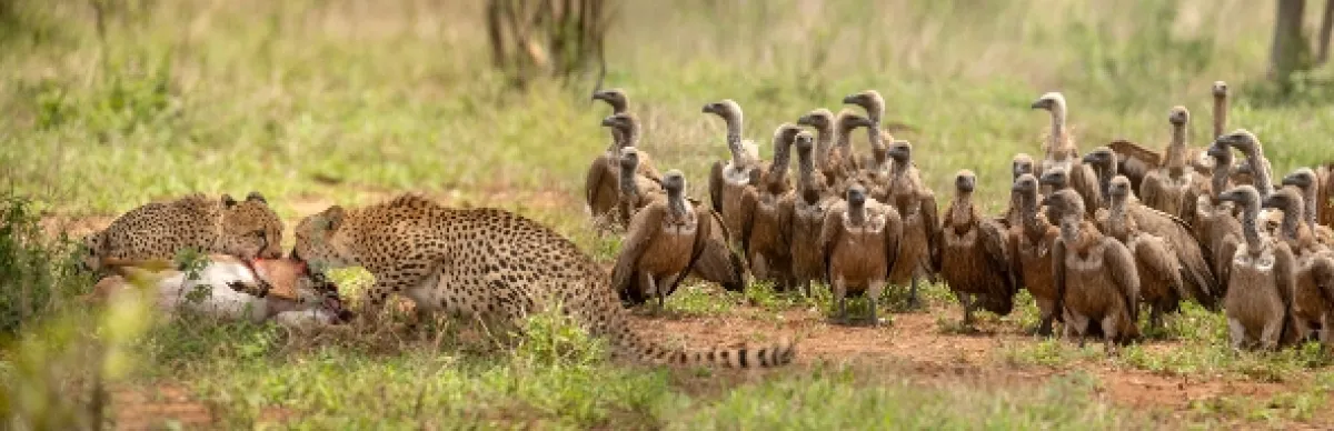 Africká abeceda, 2019 - fotogaléria