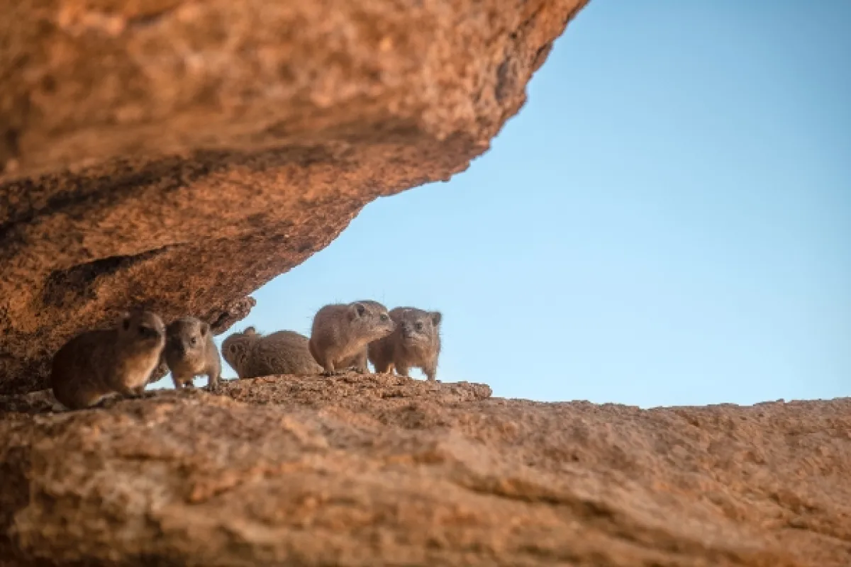 Africká abeceda, 2019 - fotogaléria