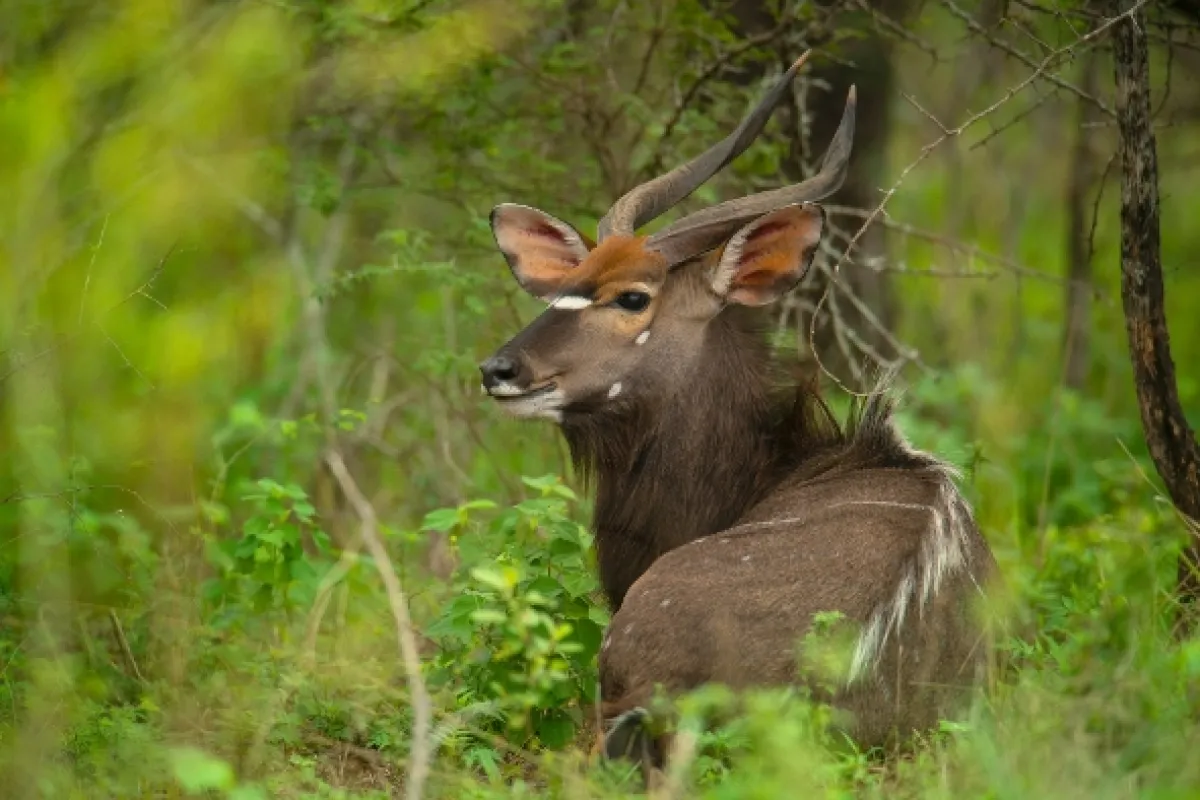 Africká abeceda, 2019 - fotogaléria