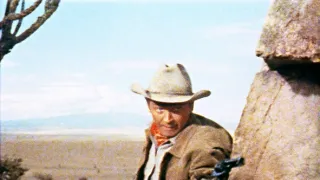 Muž z Laramie