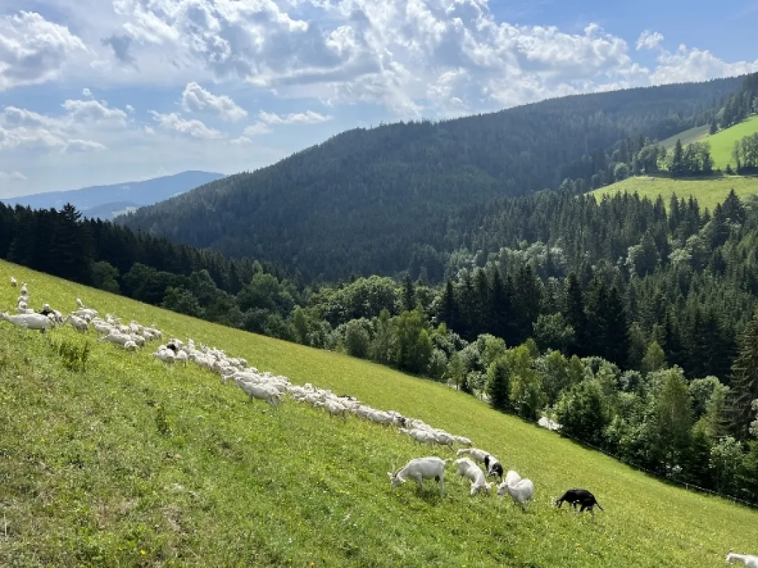 Půvab rakouských hor - fotogaléria