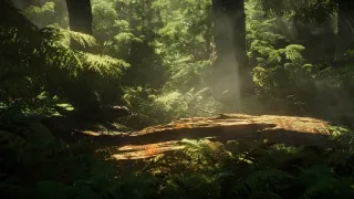 Země: Příběh jedné planety (4)