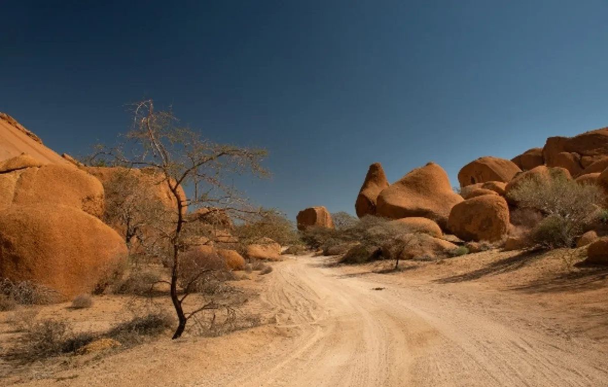Africká abeceda, 2019 - fotogaléria