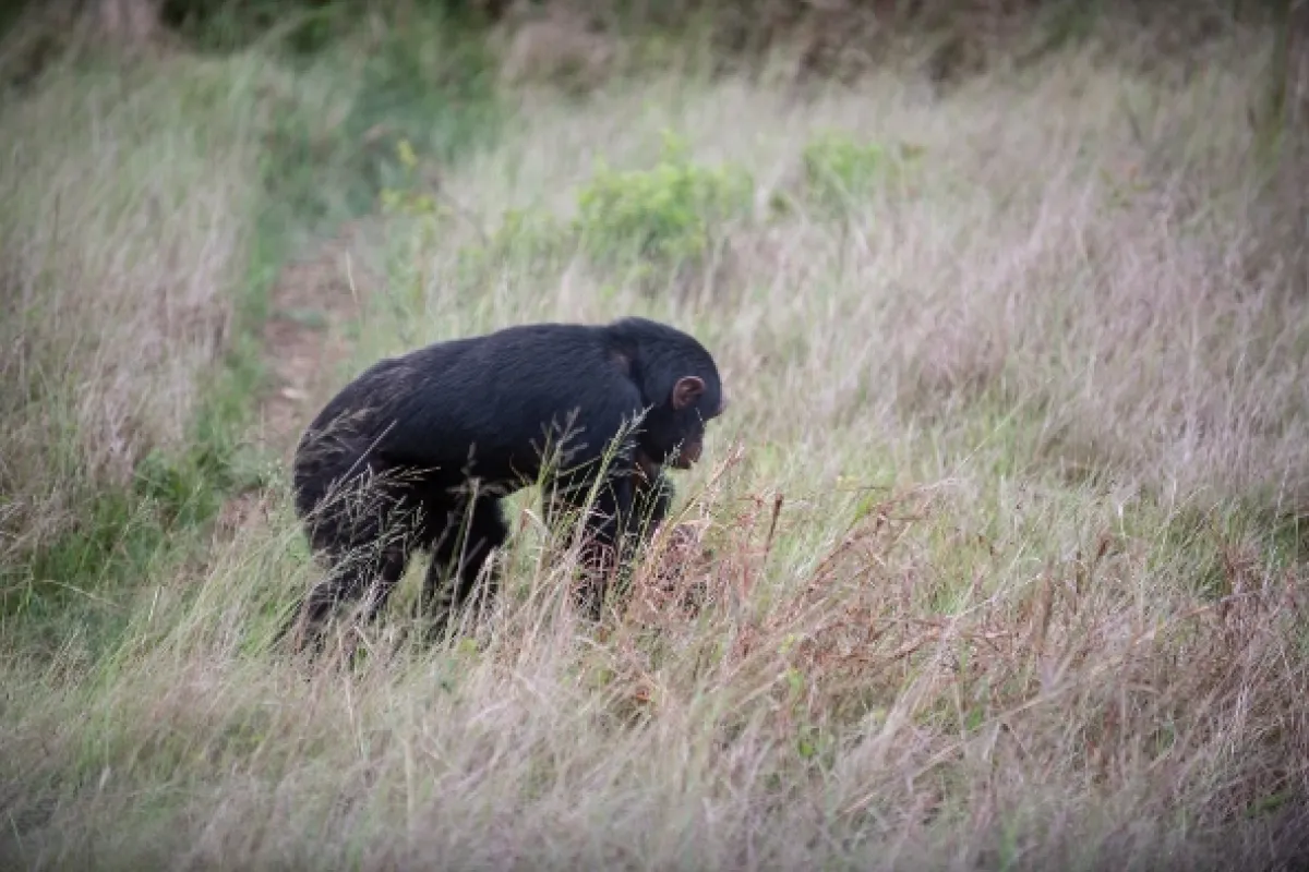 Africká abeceda, 2019 - fotogaléria