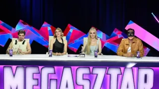 Megasztár (4)