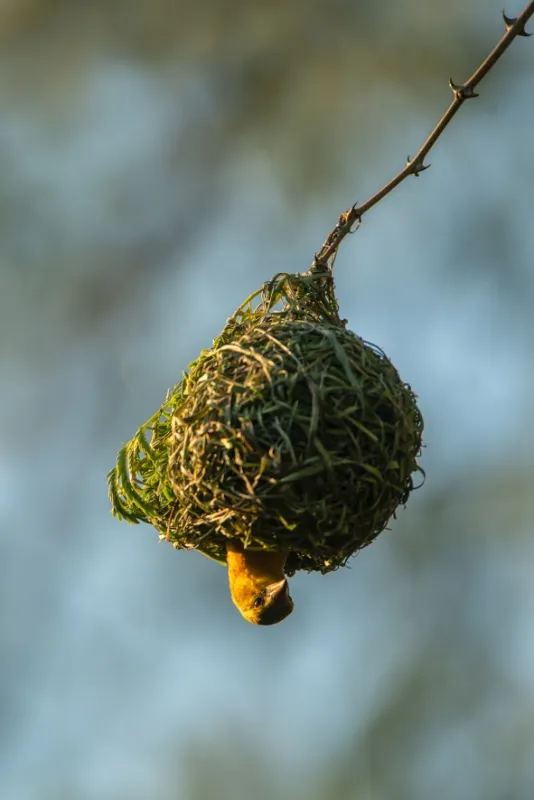 Africká abeceda, 2019 - fotogaléria