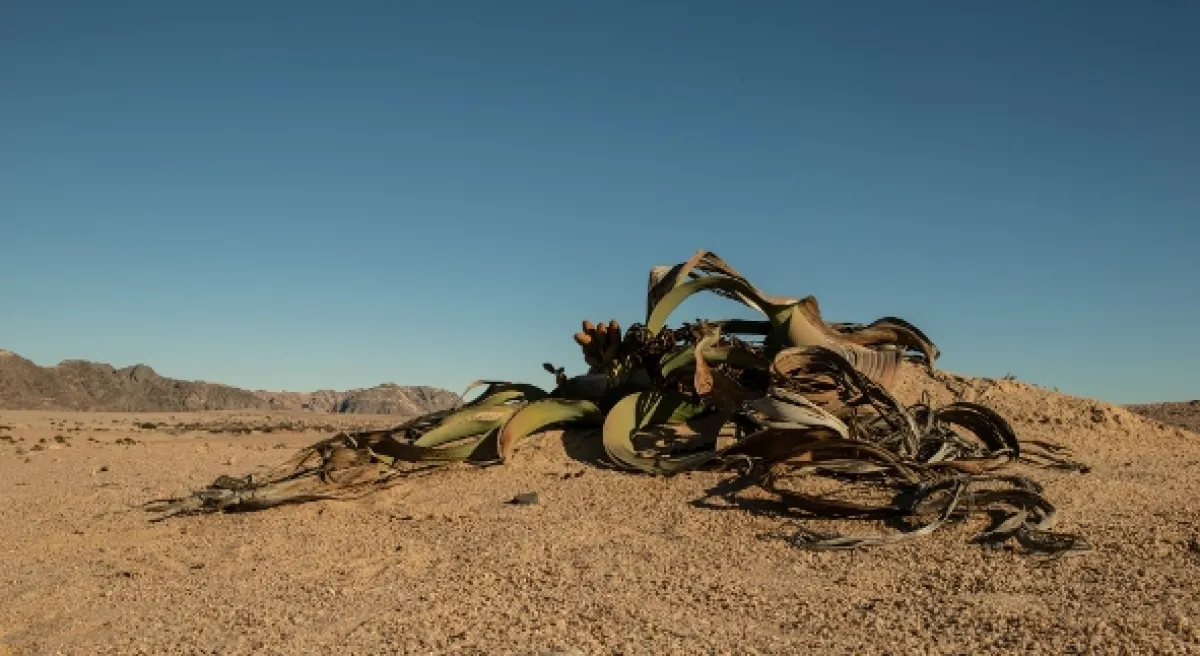 Africká abeceda, 2019 - fotogaléria