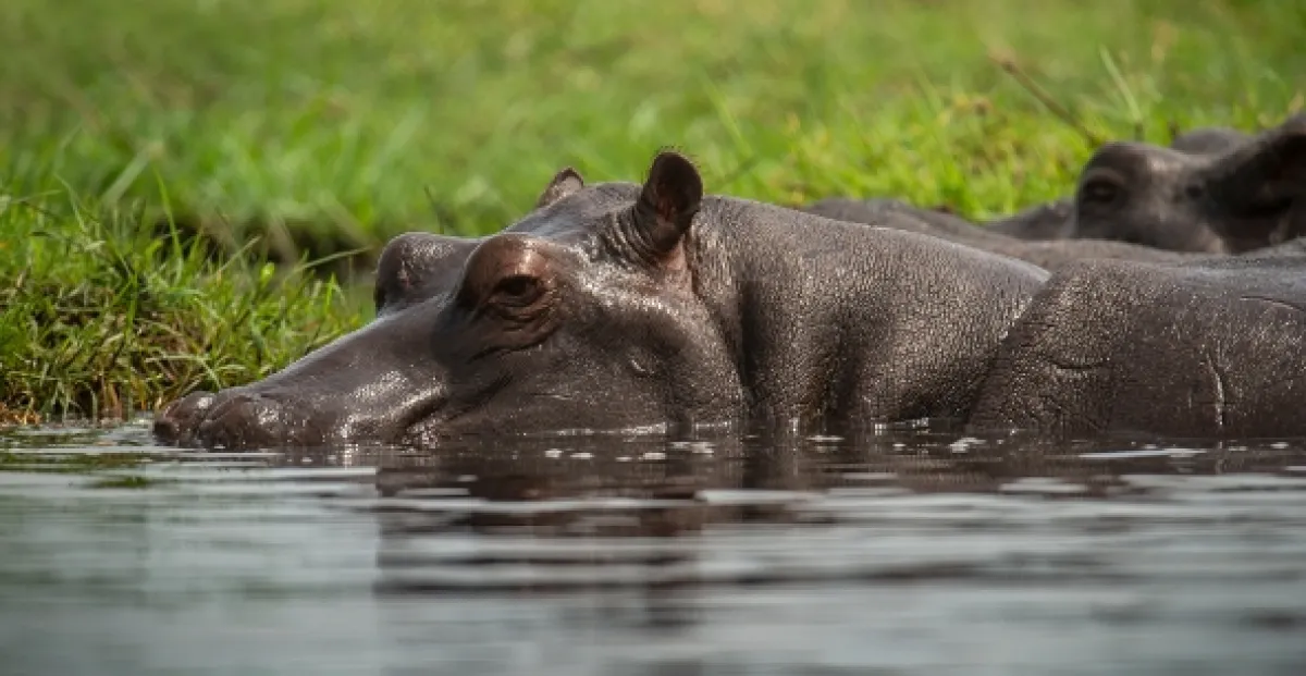 Africká abeceda, 2019 - fotogaléria