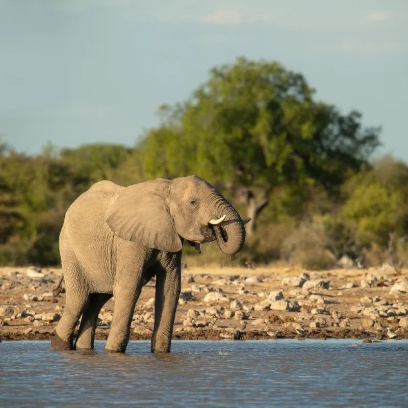 Africká abeceda, 2019 - fotogaléria