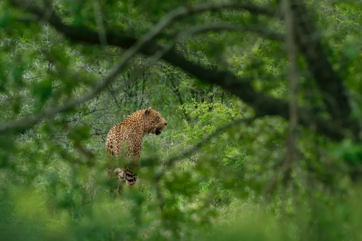 Africká abeceda, 2019 - fotogaléria