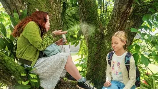 Dievča menom Willow