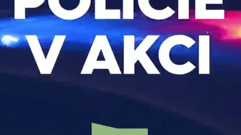 Policie v akci