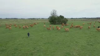 Rok 2050 - půjde to i bez masa?