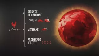 Rok 2050 - půjde to i bez masa?