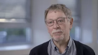 Rok 2050 - půjde to i bez masa?