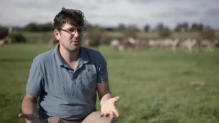 Rok 2050 - půjde to i bez masa?