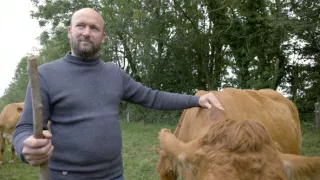 Rok 2050 - půjde to i bez masa?