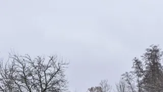 Tichá pošta
