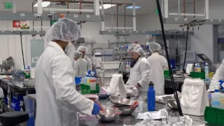 Rok 2050 - půjde to i bez masa?