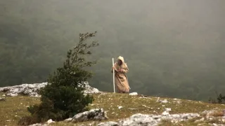 Až zařve lev