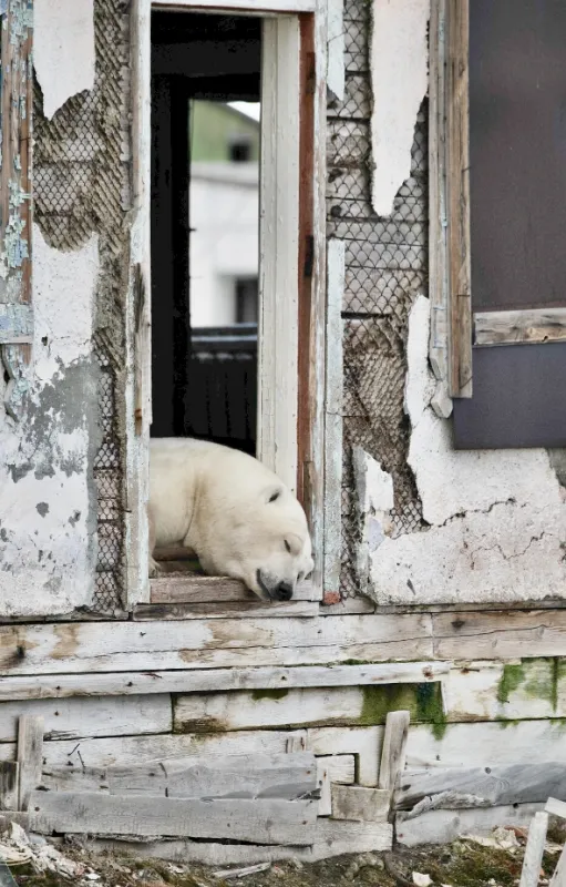 Medvědí země (Bearland), 2023 - fotogaléria