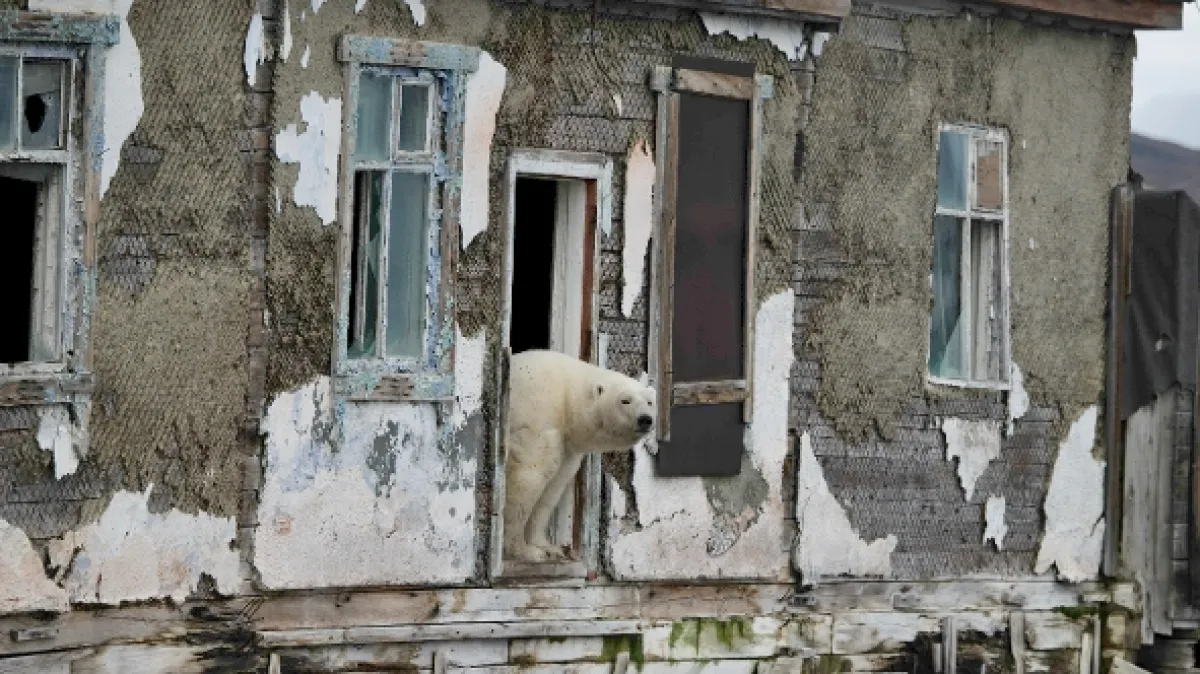 Medvědí země (Bearland), 2023 - fotogaléria