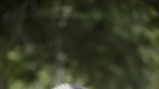 Dcéry a synovia divočiny (4/5)