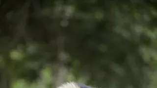 Dcéry a synovia divočiny (4/5)