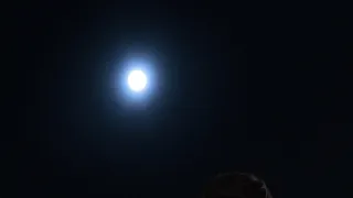 Vyšetřuje Imma Tataranni