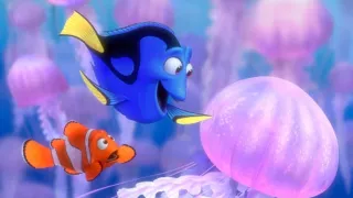 Hledá se Nemo