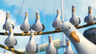 Hledá se Nemo