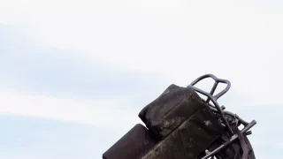 Medvědi grizzly na Aljašce (1/2)