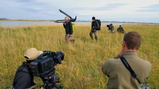 Medvědi grizzly na Aljašce (1/2)