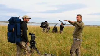 Medvědi grizzly na Aljašce (1/2)