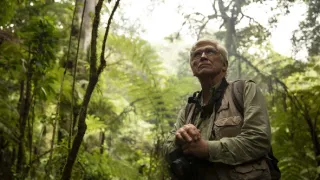 Zázračná planéta: Primáty (3/3)