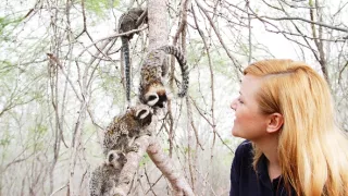 Zázračná planéta: Primáty (3/3)