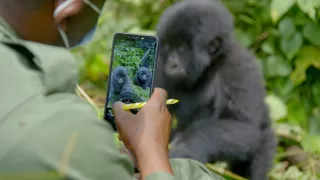 Zázračná planéta: Primáty (3/3)