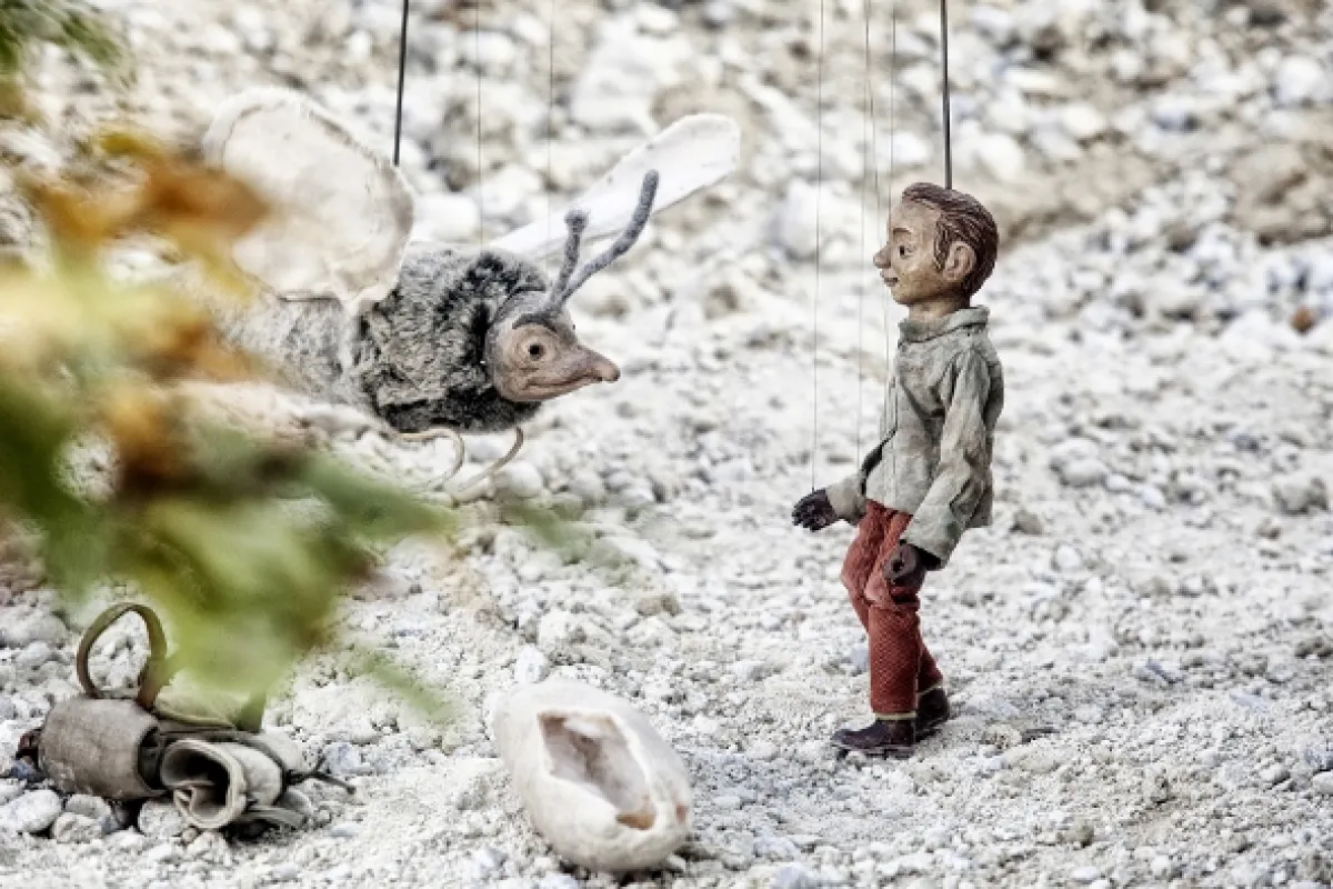 Malý pán, 2015 - fotogaléria