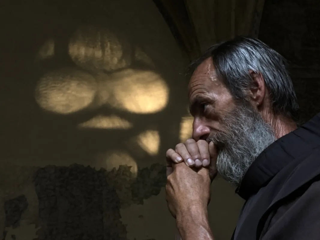 Až zařve lev, 2022 - fotogaléria