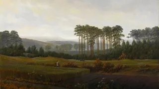 Emoce v umění (7/24)